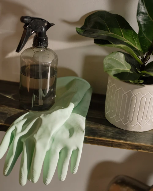 weed control for lawn