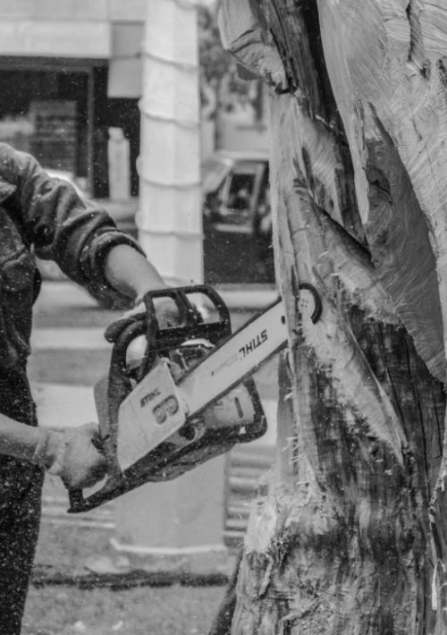 Leaf clean up services