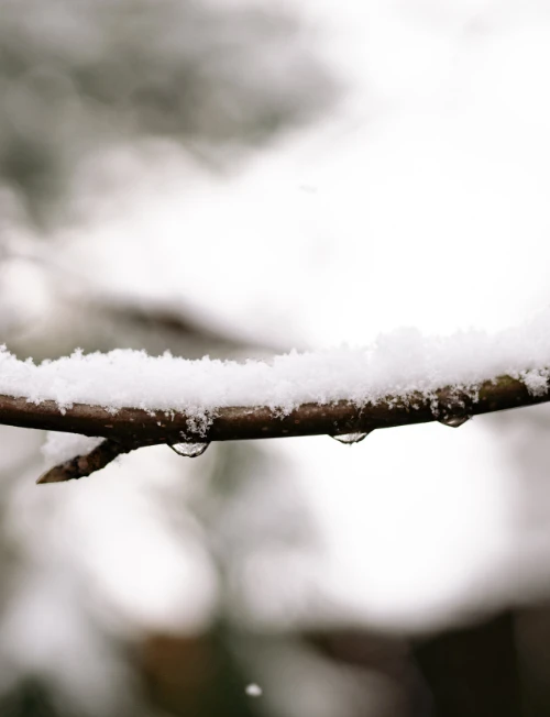 snow-melting-snow-removal-springfield-missouri